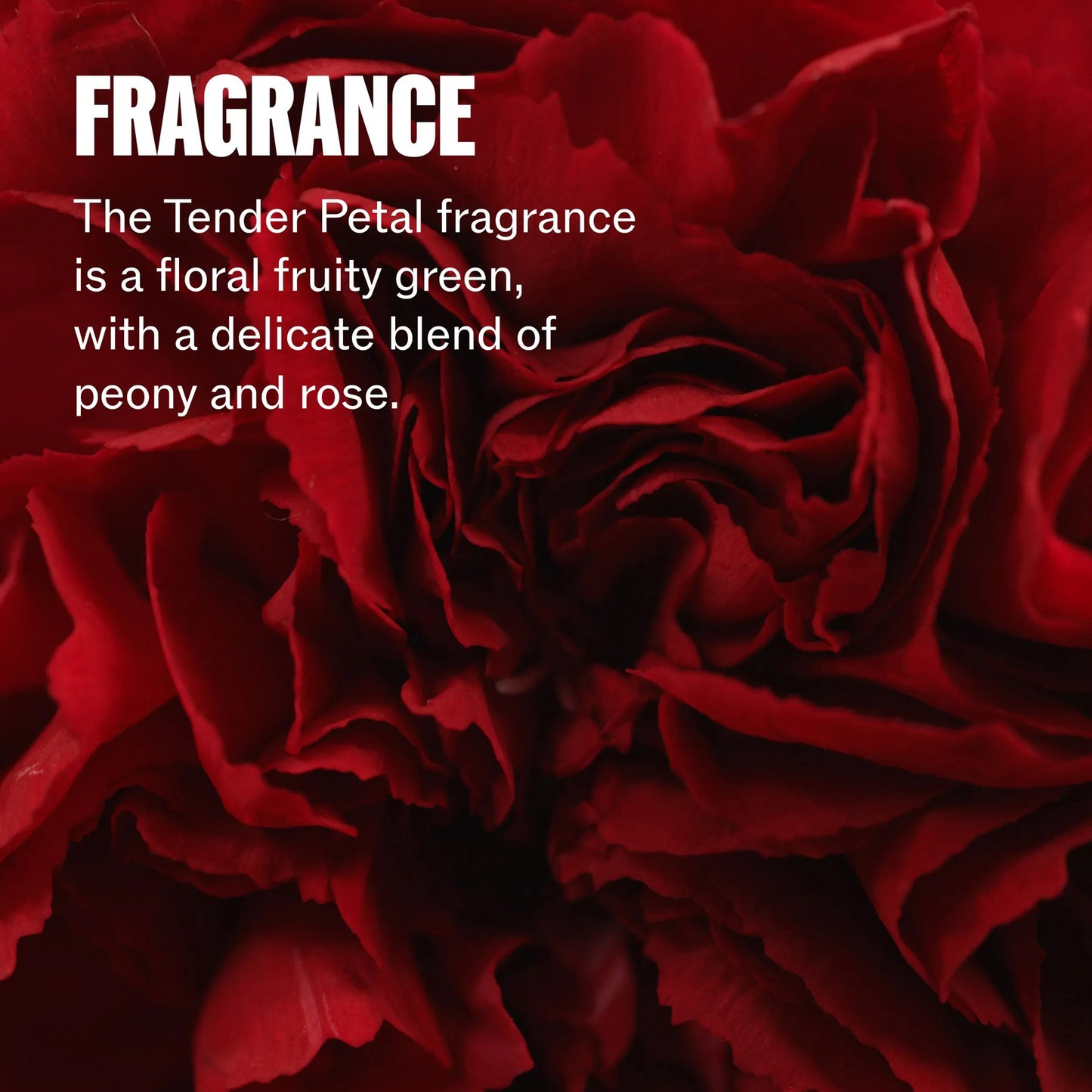 Wella Professionals Ultimate Repair Deep Cleansing Shampoo 250ml